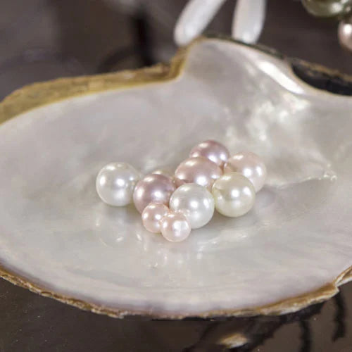 Pearl Knowledge At Midtown Jewelers